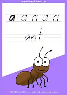 Tracing the Letters